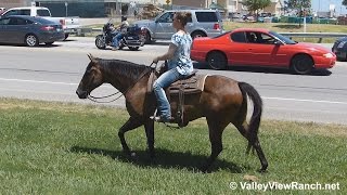 Buck  riding in town  Valley View Ranch [upl. by Ennaitsirk]