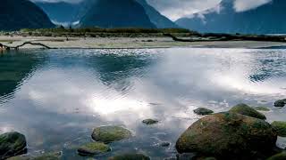 4K Fiordland National Park – New Zealands pristine wilderness home to fjords like Milford Sound [upl. by Nork45]