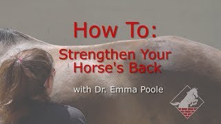 Strengthening Your Horses Neck Back and Pelvis Develop the Topline with Three Easy Exercises [upl. by Meedan]