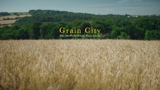 Grain City  a short documentary about The Sheffield Wheat Experiment [upl. by Dumm]