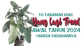 10 Tanaman Hias Yang Lagi TREND AWAL TAHUN 2024 [upl. by Wilkens]