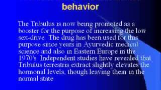 Tribulus Terrestris Benefits [upl. by Yrod]