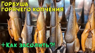 Горбуша горячего копчения [upl. by Orferd]