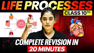 LIFE PROCESSES  Complete Revision in 20 Minutes 🔥  Class 10th Board [upl. by Ayeka484]