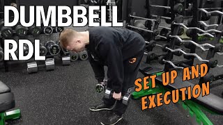 Dumbbell Romanian Deadlift  Set Up amp Execution [upl. by Veriee]