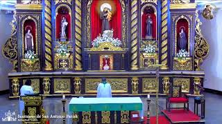 LIVE  Tuesday November 28 2023  730 am  The Celebration of the Holy Mass [upl. by Nichole]