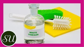 Natural Cleaning  5 Uses for Vinegar  Gorgeously Green [upl. by Dahsar318]