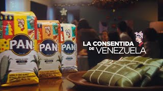 PAN  La Consentida de Venezuela [upl. by Nayt]