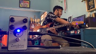 Hermida Audio Zendrive  gear review 1 no talk just tones [upl. by Alahc]