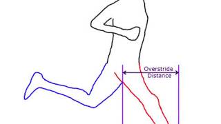 Heel Strike vs Overstriding  Los Angeles Physical Therapist  Dr Raj Brar [upl. by Meesak]