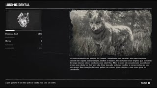 RED DEAD REDEMPTION 2 COMPÊNDIO ANIMAIS  LOBO OCIDENTAL 160178 [upl. by Bates]