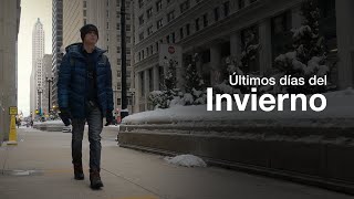 ¿¡Y después de tanta NIEVE Invierno en Chicago [upl. by Suirauqed]