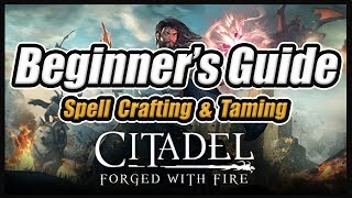 Citadel Reignited Beginners Guide Basics Spell Crafting amp Taming [upl. by Lorrad487]