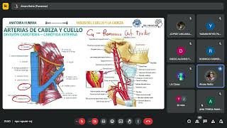 CARÓTIDA EXTERNA Y RELACIONES ANATÓMICAS IRRIGACIÓN E INERVACIÓN DE CUELLO [upl. by Solokin190]