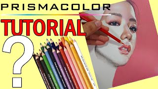 HOW TO DRAW Realistic Portrait using PRISMACOLOR Colored Pencils  BLACKPINK JISOO  BMD Portraits [upl. by Esidnac]