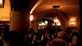 Hofbrauhaus Munich oompah band [upl. by Kcirdled]