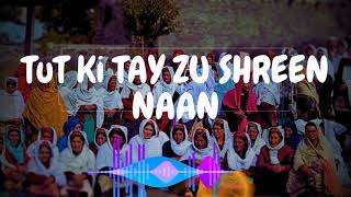 TUT Ki TAY ZU SHREEN NAAN  New wakhi song 2024  newwakhisong newwakhisong [upl. by Eilime583]