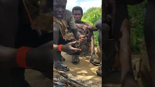 preparation of food Bushmen way [upl. by Benedict726]