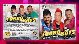 Forró Boys Vol 5  17 To Solteiro [upl. by Asoramla851]