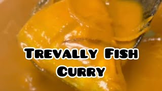 Trevally Fish Curry Recipe  Fish Masala seafood shorts fish fishcurry fishrecipe [upl. by Molton]