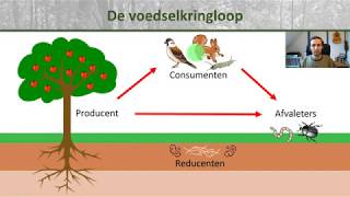 Bio  Voedselkringloop en reducenten  Ecologie onderbouw 2 [upl. by Elenaj287]