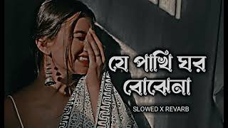 Je Pakhi Ghor Bojhena যে পাখি ঘর বঝেনা Slowed Revarb Dhruba Bangla Lofi Song 2024 lofi [upl. by Seigler553]