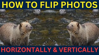 How to Flip Image Horizontally amp Vertically in Windows 11  Easy Tutorial [upl. by Kip]