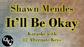 Itll Be Okay Karaoke  Shawn Mendes Instrumental Lower Higher Female Original Key [upl. by Anitsrik73]