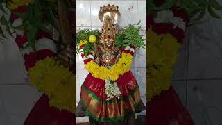 Sri vemalamma grama devatha jathara 🙏🙏🙏 Kalathuru villageviralvideo viralvideos durgapuja [upl. by Ranger]