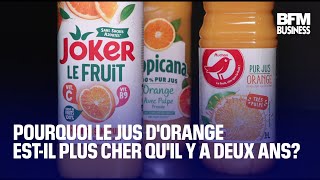 Ouragan en Floride sécheresse au Brésil… Pourquoi le jus dorange estil plus cher [upl. by Sesiom]