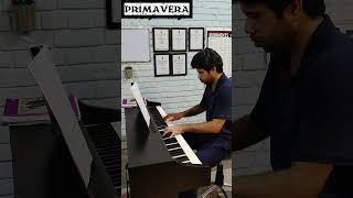 PRIMAVERA  LUDOVICO EINUADI  Piano Cover  Noel Malekar  piano pianomusic [upl. by Htabazile868]