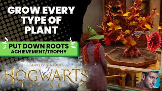 Put Down Roots AchievementTrophy  Hogwarts Legacy [upl. by Neehcas]