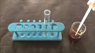 Saponin Foam Test  Chemical Identification By Saponin Foam Method  Saponin Test  सैपोनिन टेस्ट [upl. by Audry]