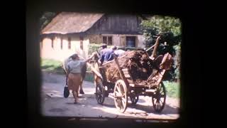 Murska Sobota around 1972 short film Razlagova Ulica Potrošnik itd [upl. by Hemingway832]