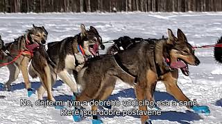 Iditarod Trail Song  Alaskas Hobo Jim  Music video and Czech subtitles Bob Martinec [upl. by Dulcea]