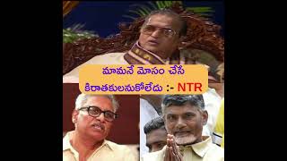 Sr NTR About Chandrababu Vennupotu  Jr NTR Fans  Balakrishna Flexi  NTR Ghat [upl. by Nibor317]