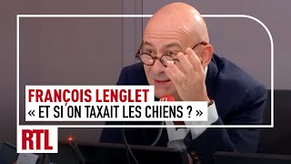 quotEt si on taxait les chiens quot [upl. by Natek]