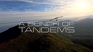 4K A Bunch of Tandems Hang Glider [upl. by Eselehs27]