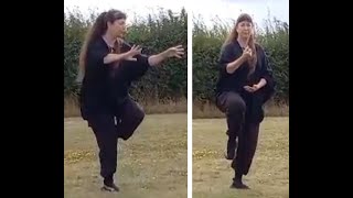 TaiChi 18 Forms by Hanna Tantra Katz Showing 2 directions 5 15 Minutes each [upl. by Anahsar]