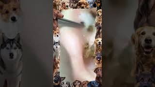 Big Cystic Acne Blackheads Extraction Blackheads amp Milia Whiteheads Removal Pimple Popping 19 [upl. by Lahtnero]