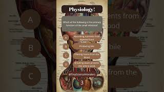 Which of the following is the primary function of small intestine physiology tinysciencewonders [upl. by Ahsirtap]