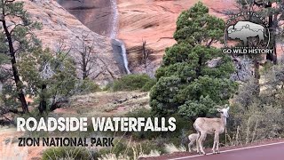 Zion Nat’l Park  The Narrows amp Roadside Waterfalls 4K [upl. by Nyrmak]