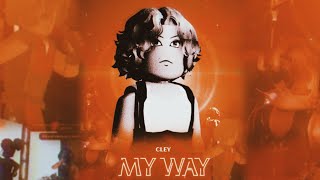 My Way  The Show [upl. by Aysab]