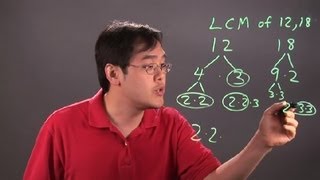 How to Find the Least Common Multiple Using Prime Factorization  Multiplication Tips [upl. by Vadim353]