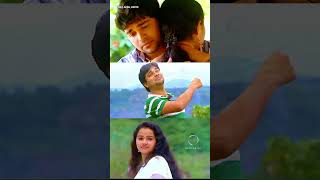 നിന്നെയും തേടി  Shafikollam shafikollamsongs album mappilappattu [upl. by Doomham]