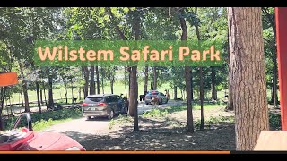 Explore Wilstem Safari Park  Unique SelfDrive Safari Experience in the USA [upl. by Herbert149]