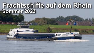 Frachtschiffe auf dem Rhein  Binnenschifffahrt  Sommer 2023 [upl. by Aerdnek]