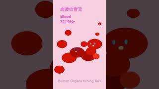 血液の音叉、Blood、3219Hz 周波数 音叉 humanorgan [upl. by Ahsenat]