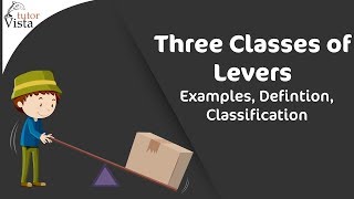 Three Classes of Levers  Examples Defintion Classification [upl. by Huskamp587]