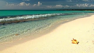 Relaxing Music with Gentle Ocean Sounds Soothing Waves and Peaceful Music [upl. by Eiahpets]